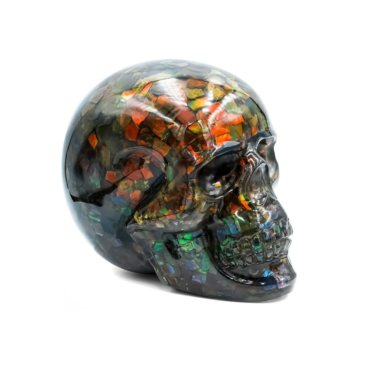 Starborn Hand Carved Ammolite Skull Carving 4400 cts - 1 Piece