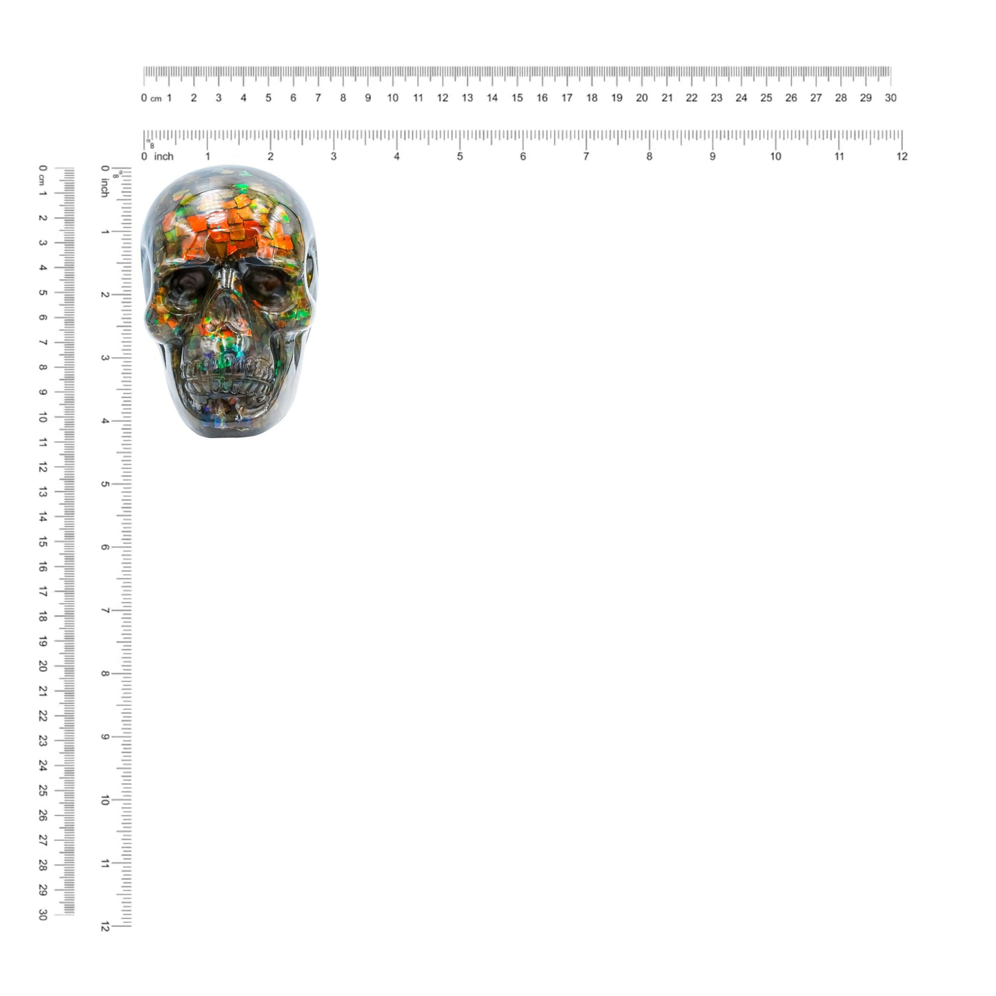 Starborn Hand Carved Ammolite Skull Carving 4400 cts - 1 Piece
