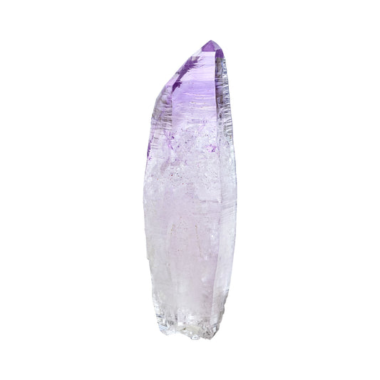 Starborn Vera Cruz Amethyst Crystal Collector's Corner Specimen 135ct - 1 Piece