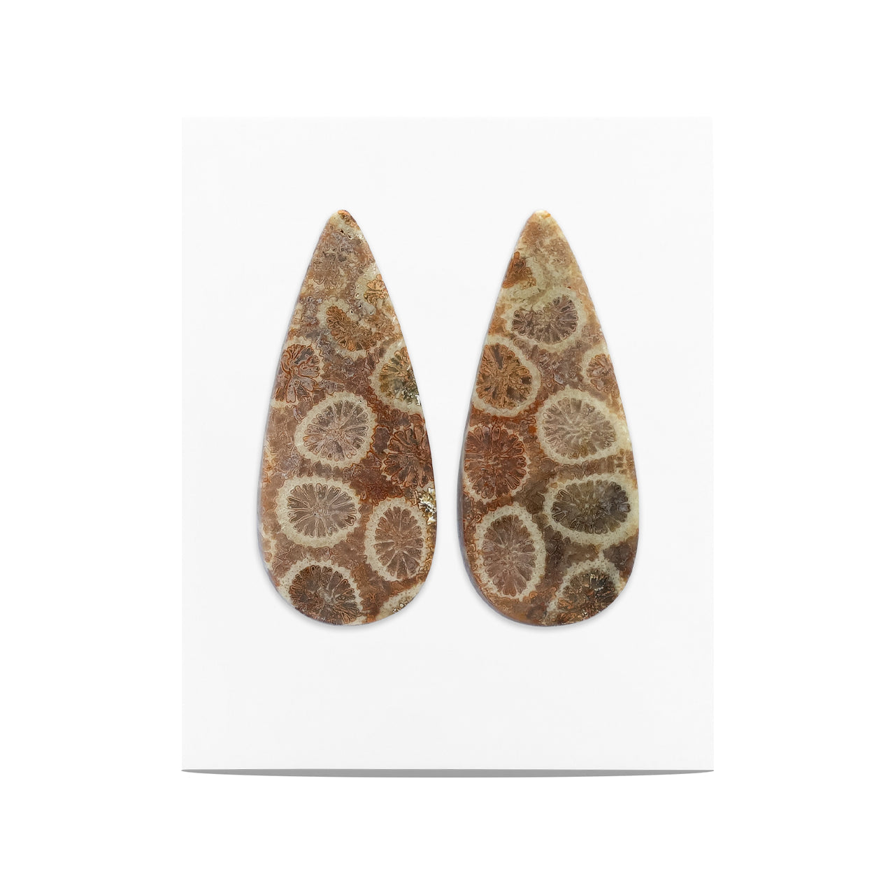 Starborn Fossil Coral Pear Cabochons 28 x 12 mm - 1 Pair