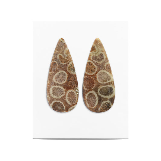 Starborn Fossil Coral Pear Cabochons 28 x 12 mm - 1 Pair