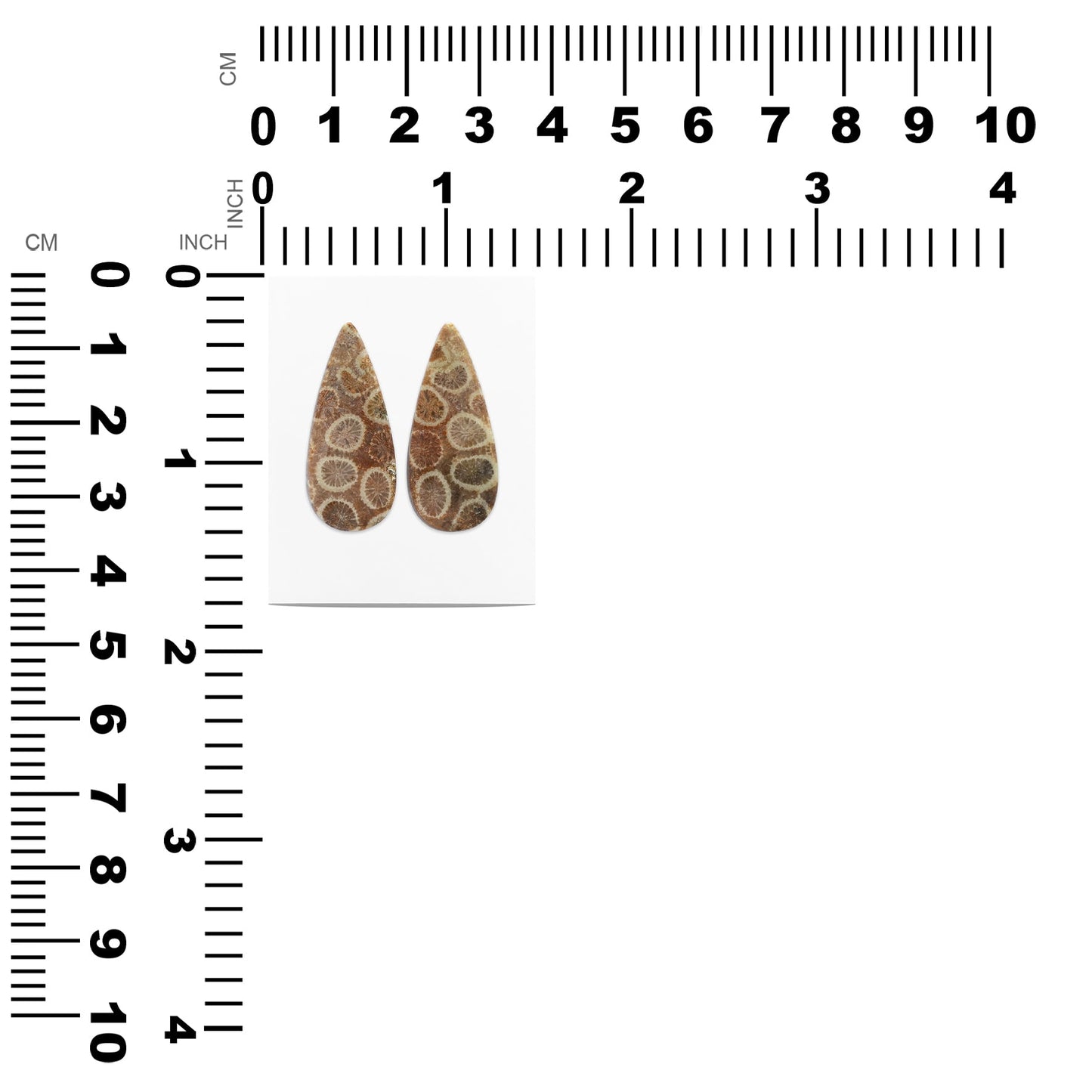 Starborn Fossil Coral Pear Cabochons 28 x 12 mm - 1 Pair