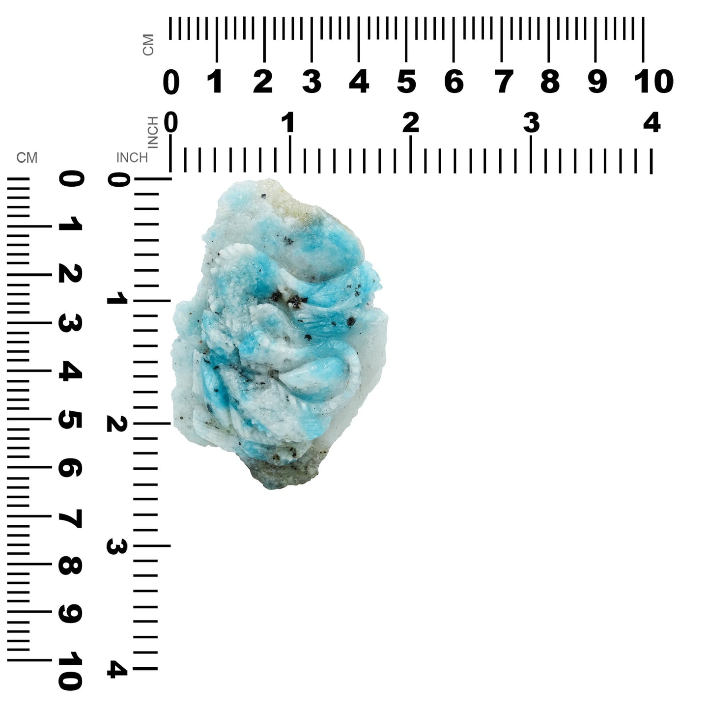 Starborn Fluorescent Hackmanite Hand Carved Dragon 219 cts - 1 piece