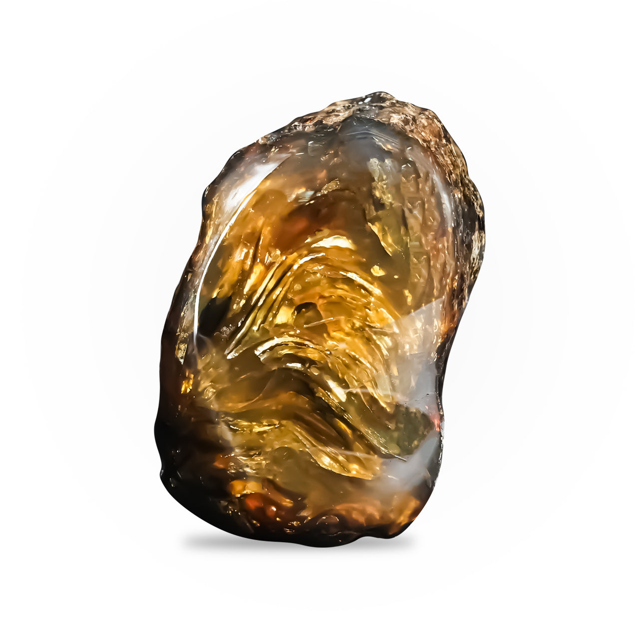 Starborn Lion's Mane Sumatra Amber Polished Collector's Corner Specimen 1,225ct - 1 Piece