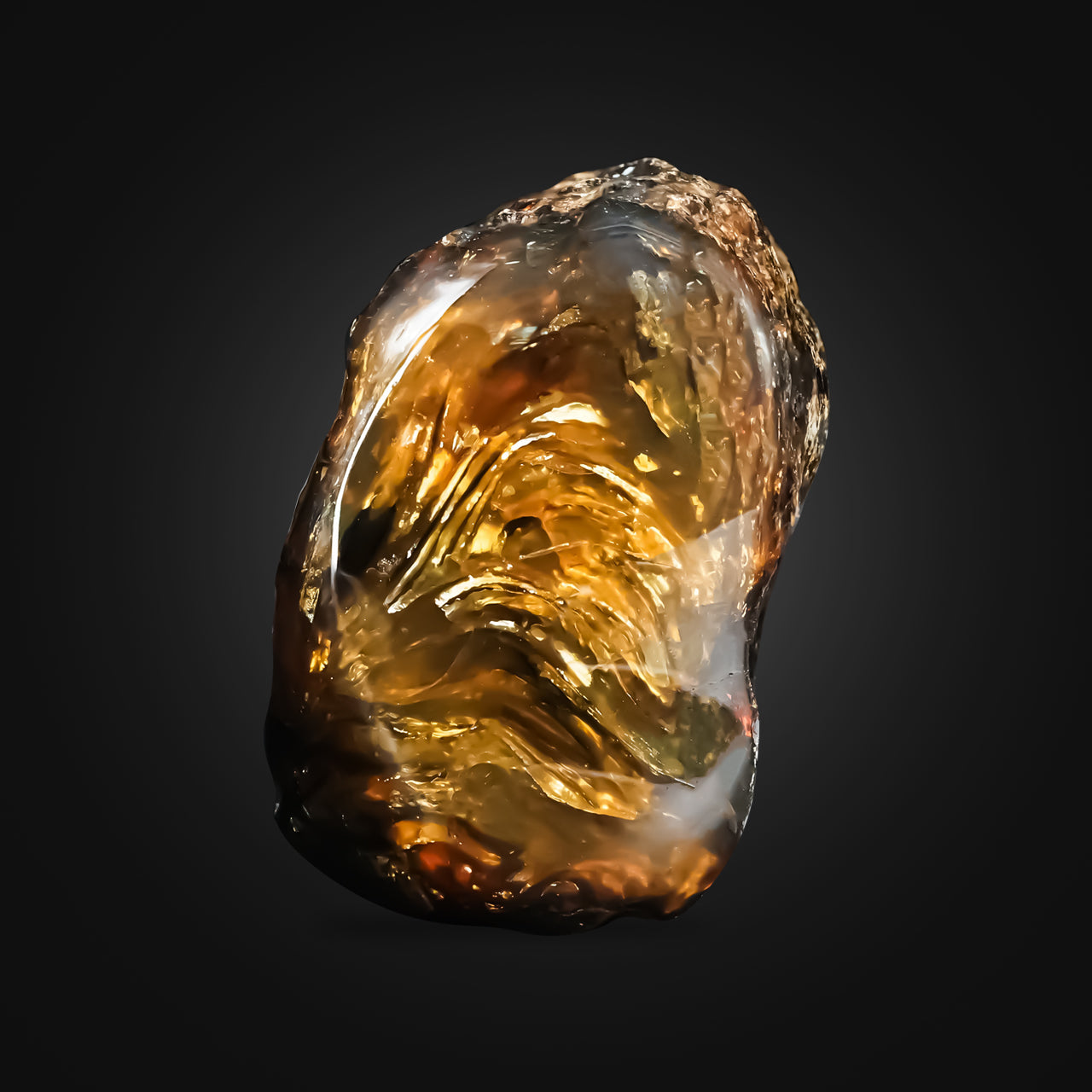 Starborn Lion's Mane Sumatra Amber Polished Collector's Corner Specimen 1,225ct - 1 Piece