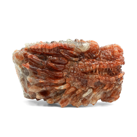 Starborn Sunstone Dragon Head Carving 794.5 cts - 1 Piece