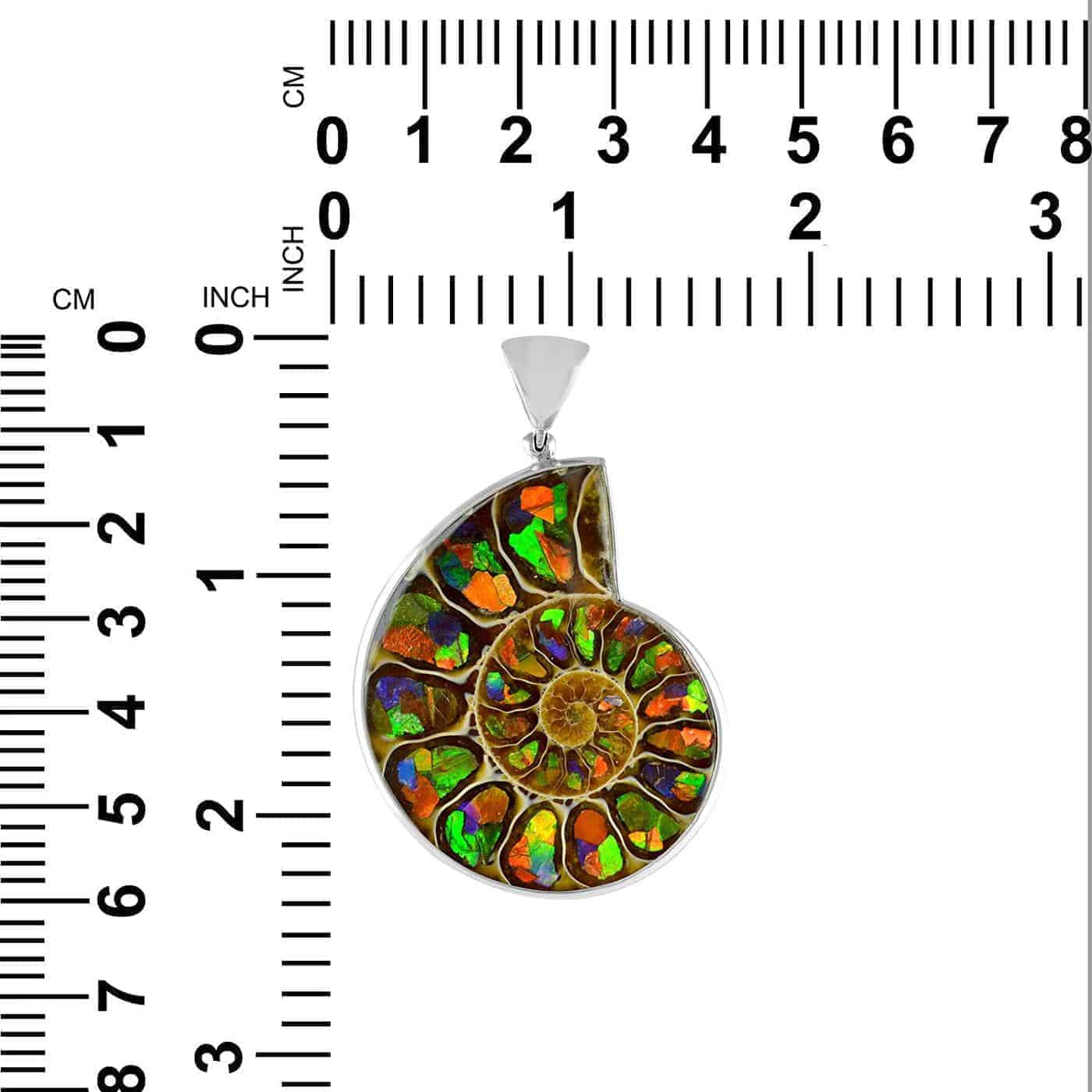 Starborn Sterling Silver Ammonite with Ammolite Inlay Pendant