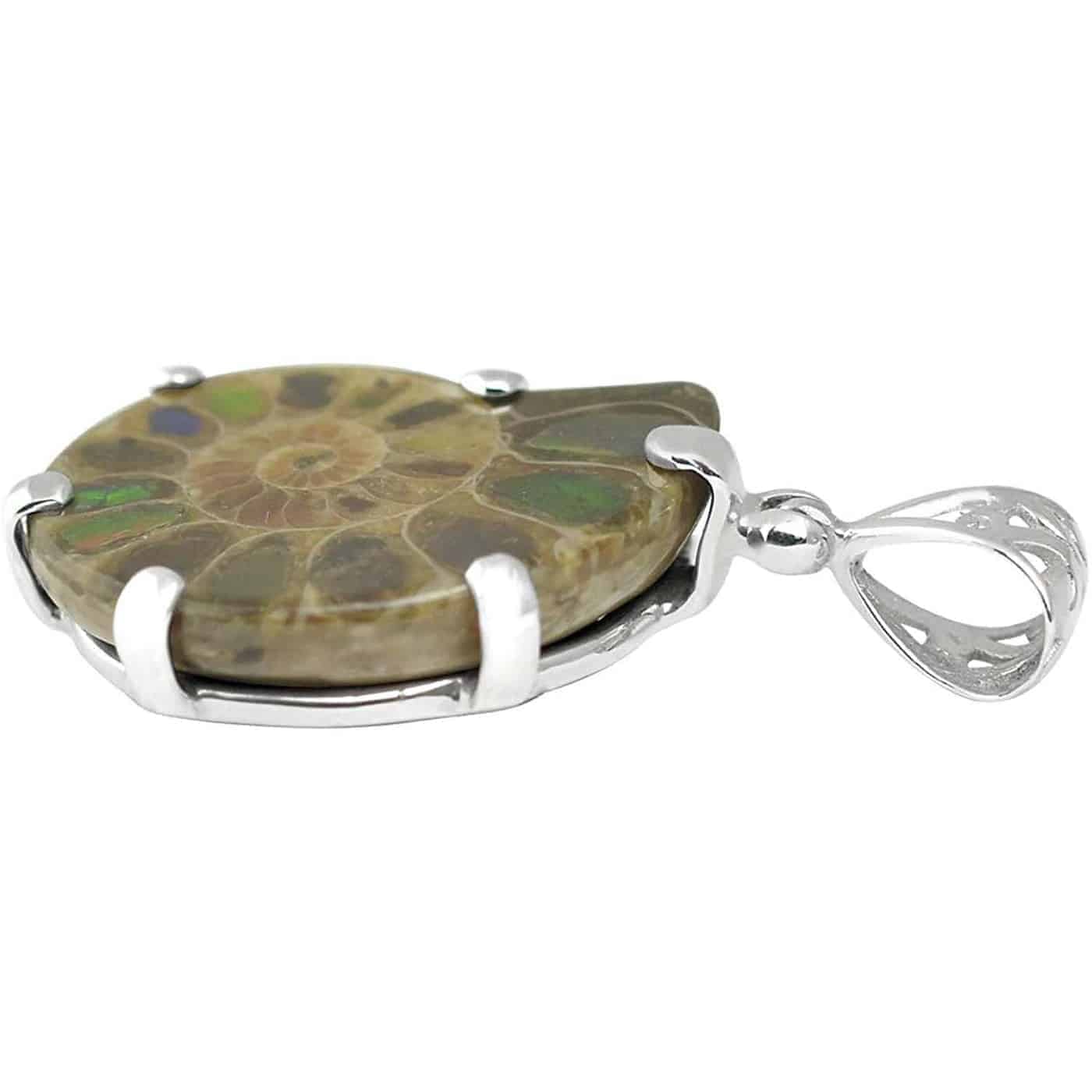Starborn Sterling Silver Ammonite with Ammolite Inlay, Prong Set Pendant with Filigree Bail