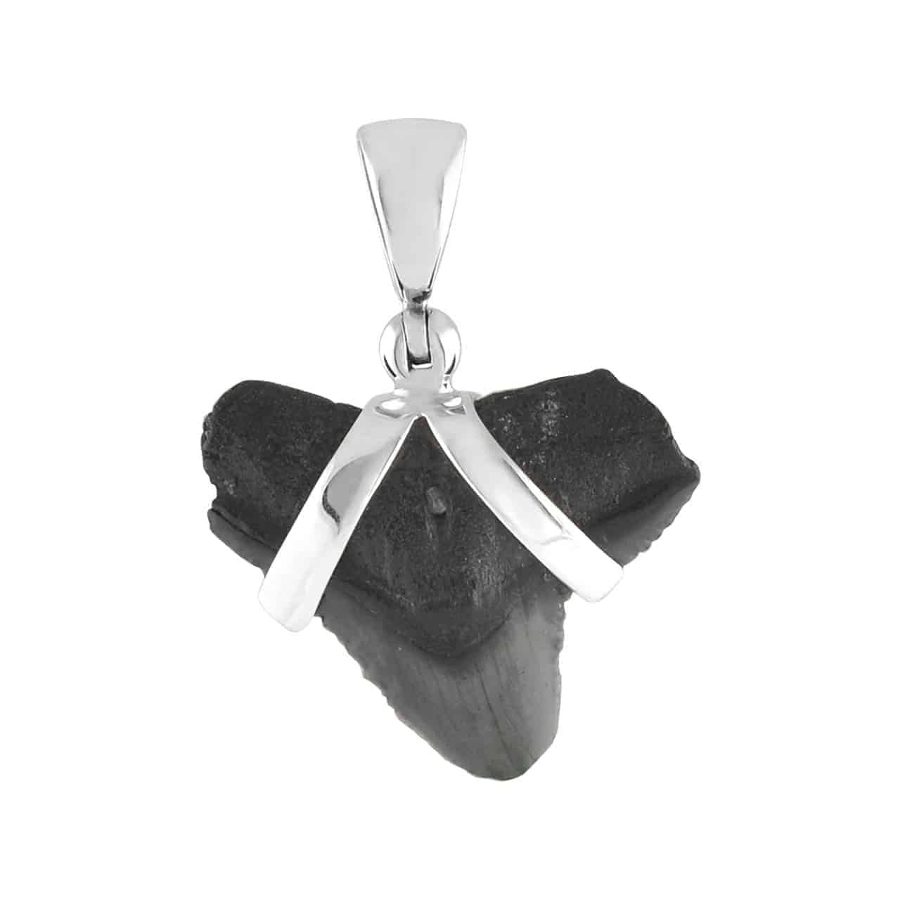 Starborn Dark Fossil Shark Tooth Pendant in Sterling Silver