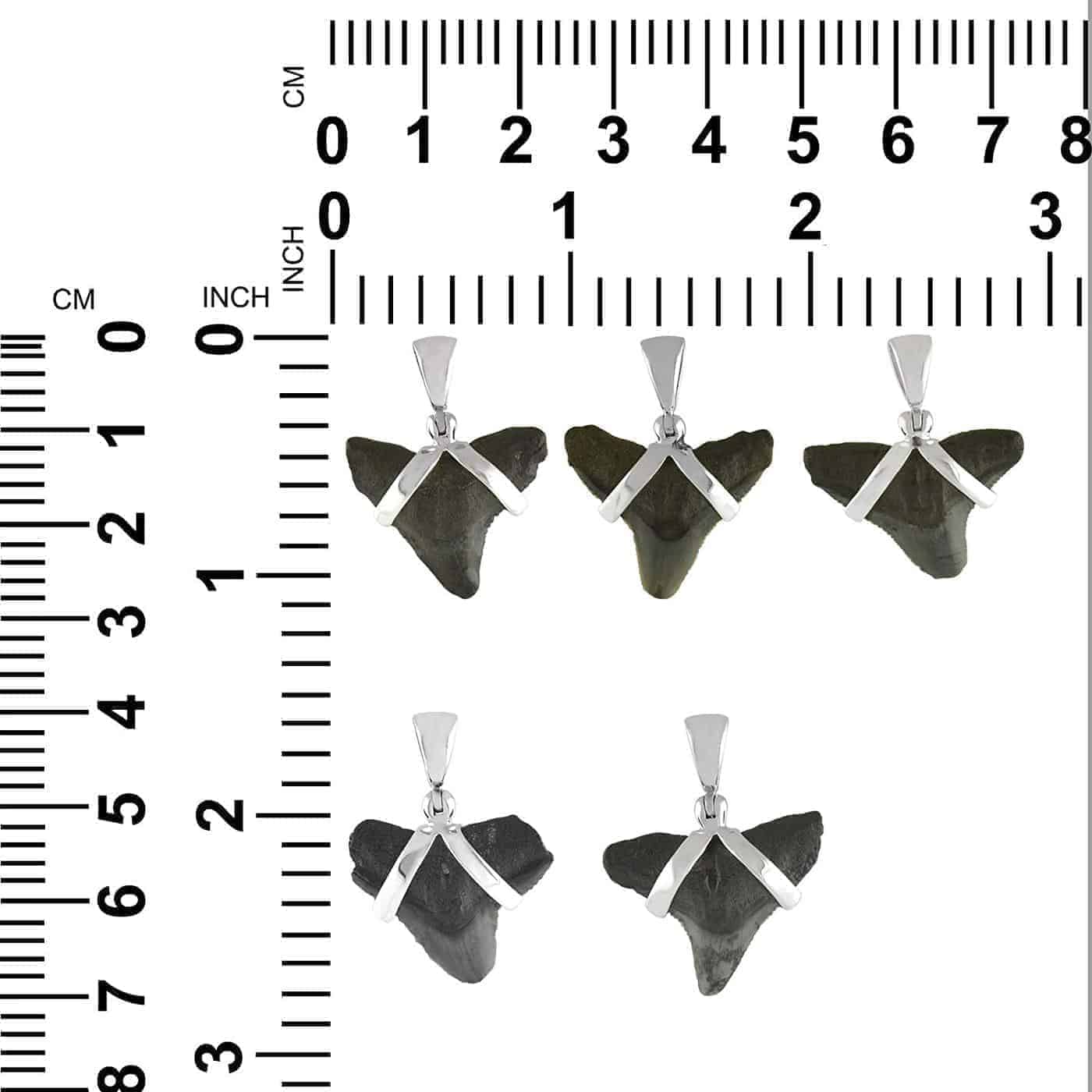 Starborn Dark Fossil Shark Tooth Pendant in Sterling Silver