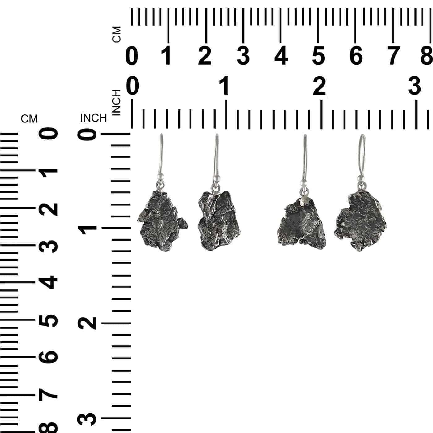 Starborn Campo del Cielo Meteorite Dangle Earrings in Sterling Silver