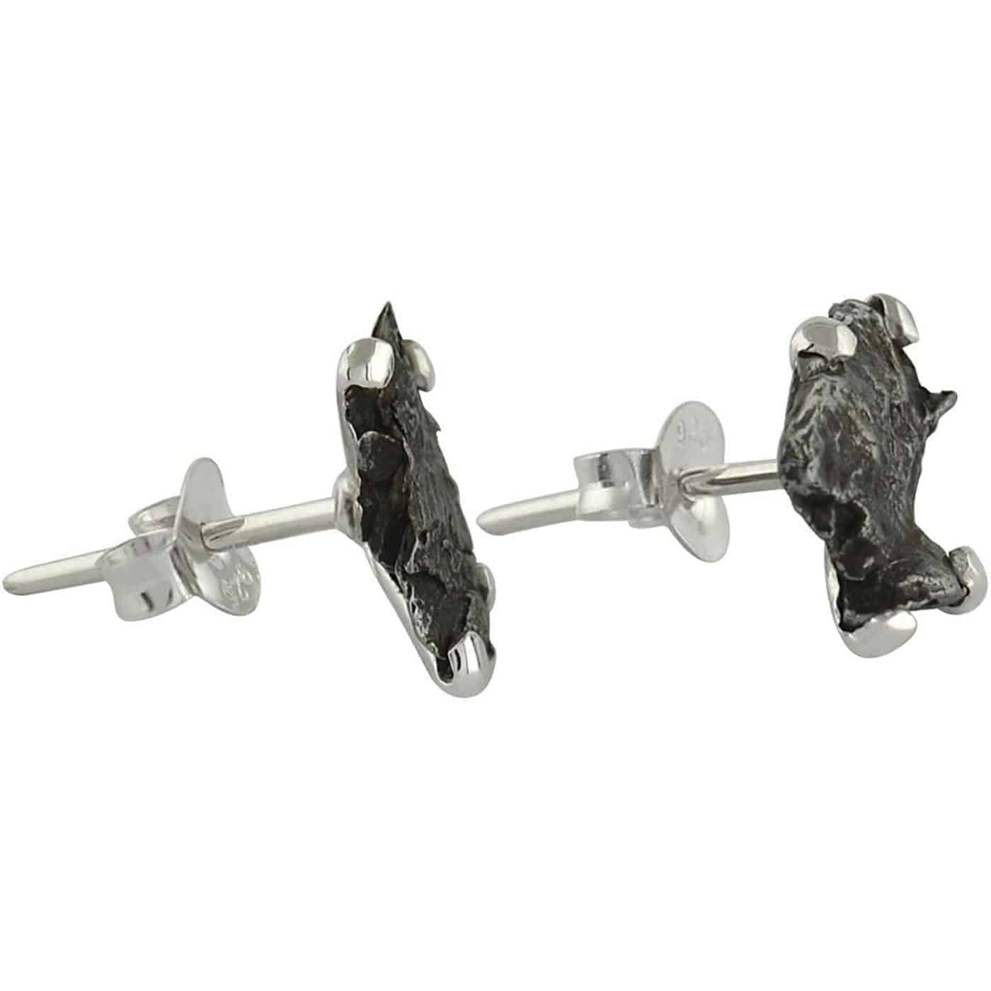 Starborn Campo del Cielo Meteorite Post Earrings in Sterling Silver