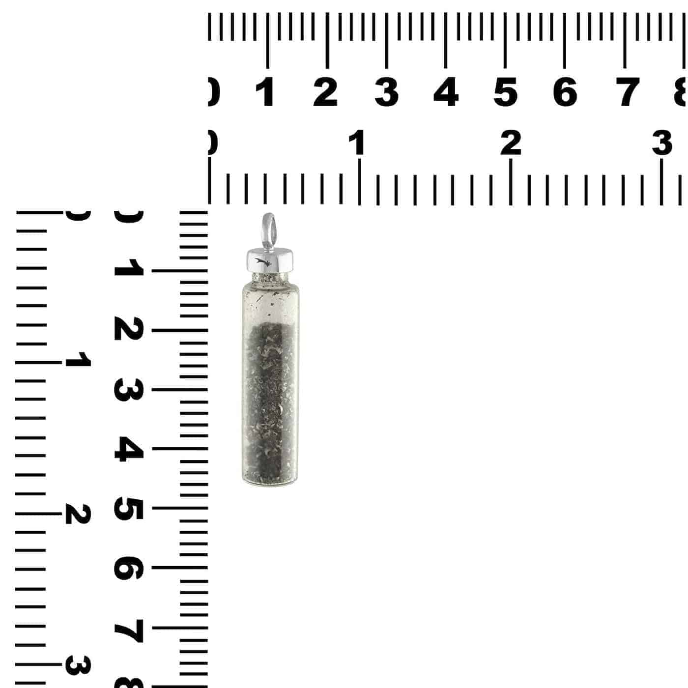 Starborn Gibeon Meteorite Star Dust Pendant in Sterling Silver