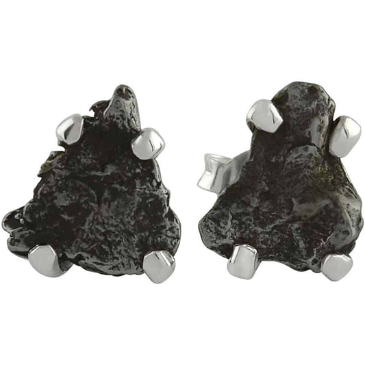 Starborn Campo del Cielo Meteorite Post Earrings in Sterling Silver