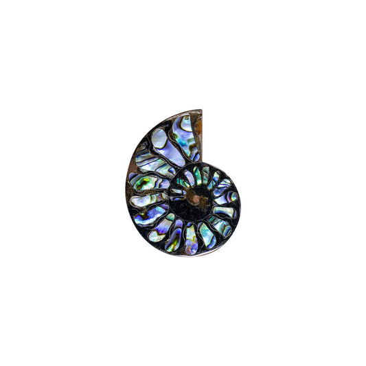 Starborn Ammonite Half with Abalone Inlay Cabochon 45-48mm - 1 Piece