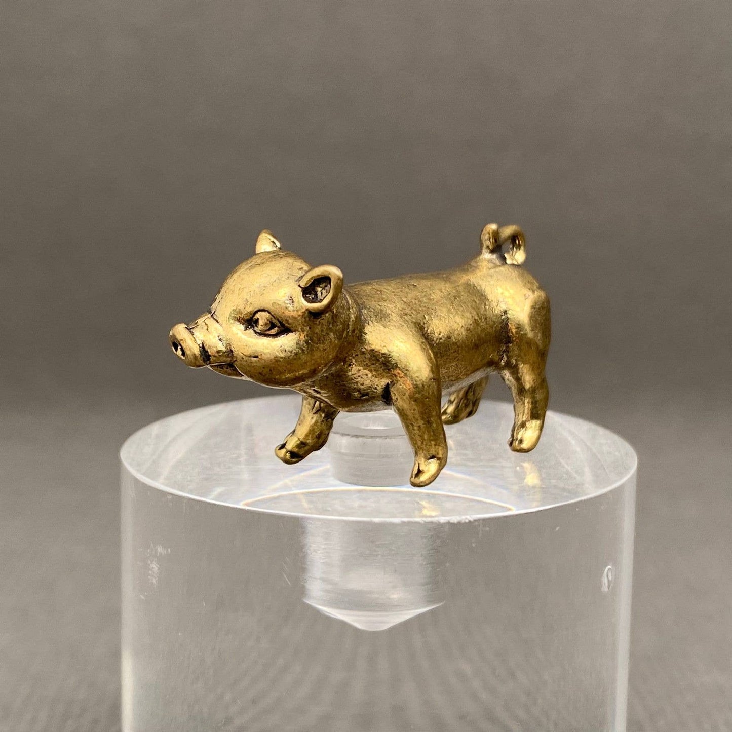 Brass Piglet Crafts Decoration Desktop Ornaments
