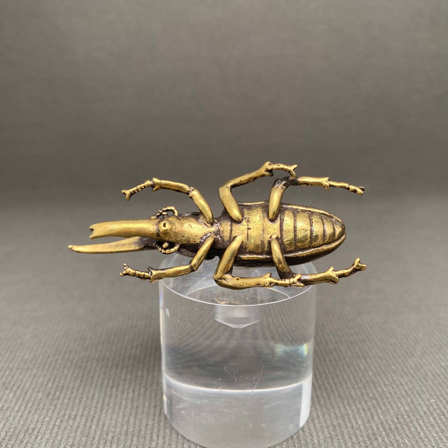 Brass Rhinoceros Beetle Crafts Decoration Desktop Ornaments