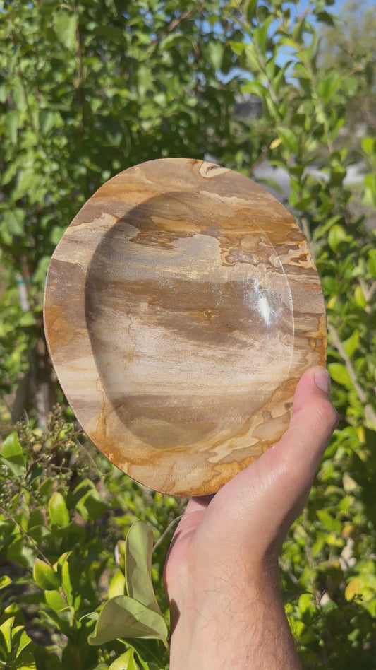 Petrified Wood Bowl