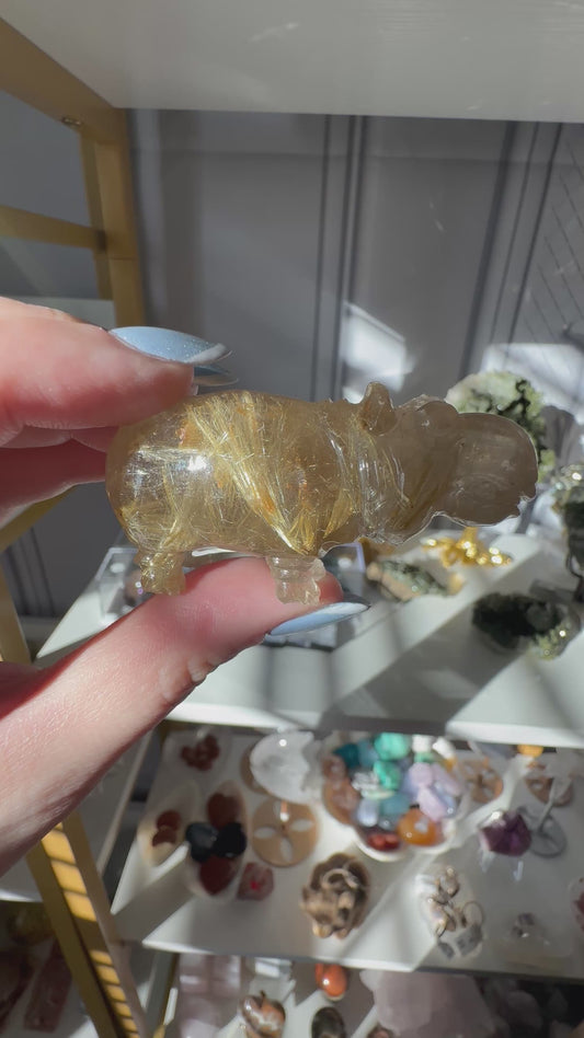 Golden Rutilated Quartz Hippo