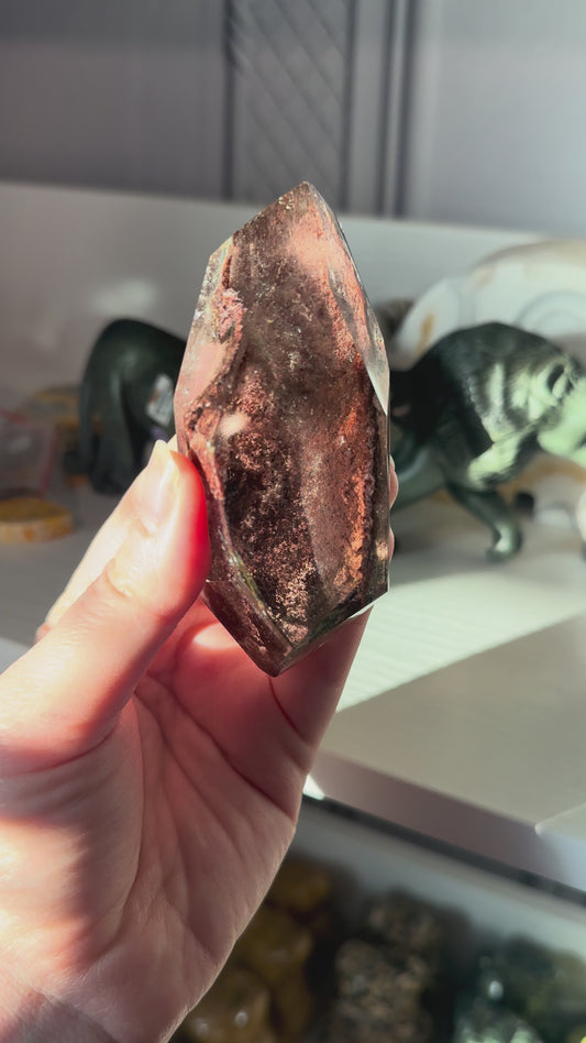 Lodolite/Garden Quartz