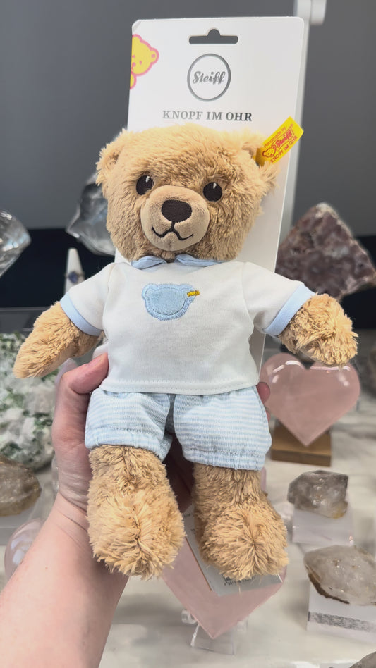 Sleep Well Teddy