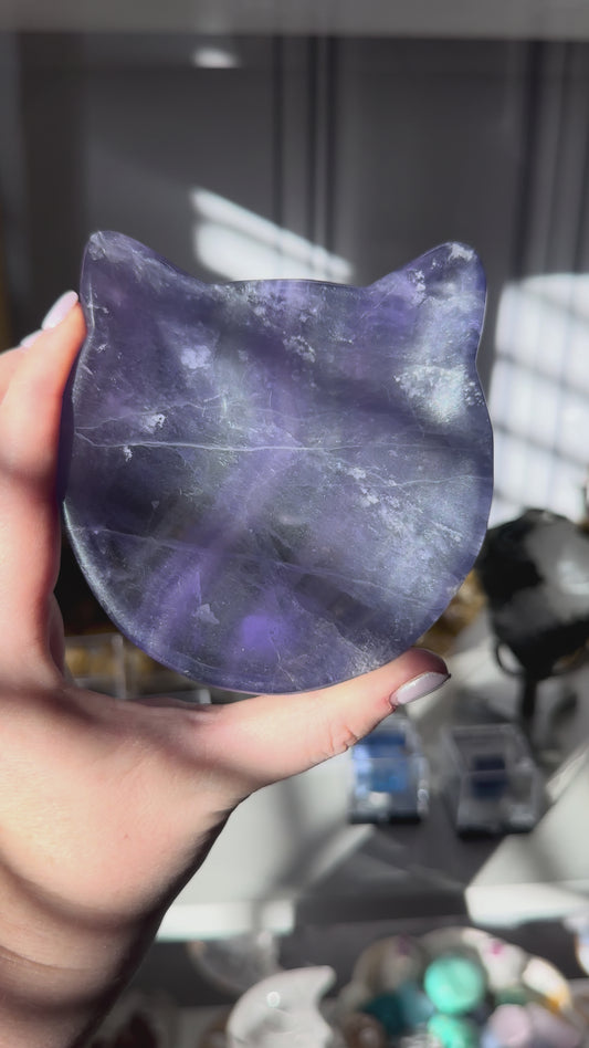 Fluorite Kitty Bowl A