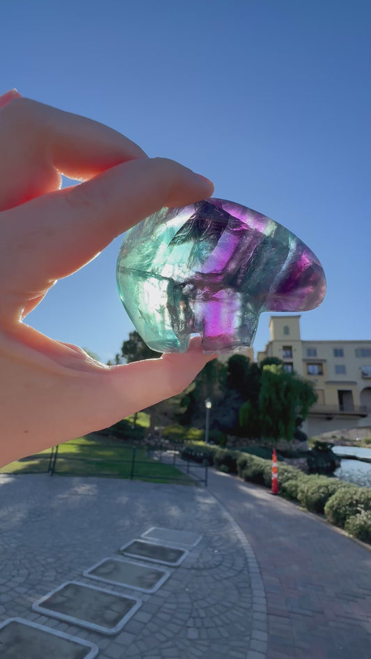 Durango Fluorite Zuni Bear B