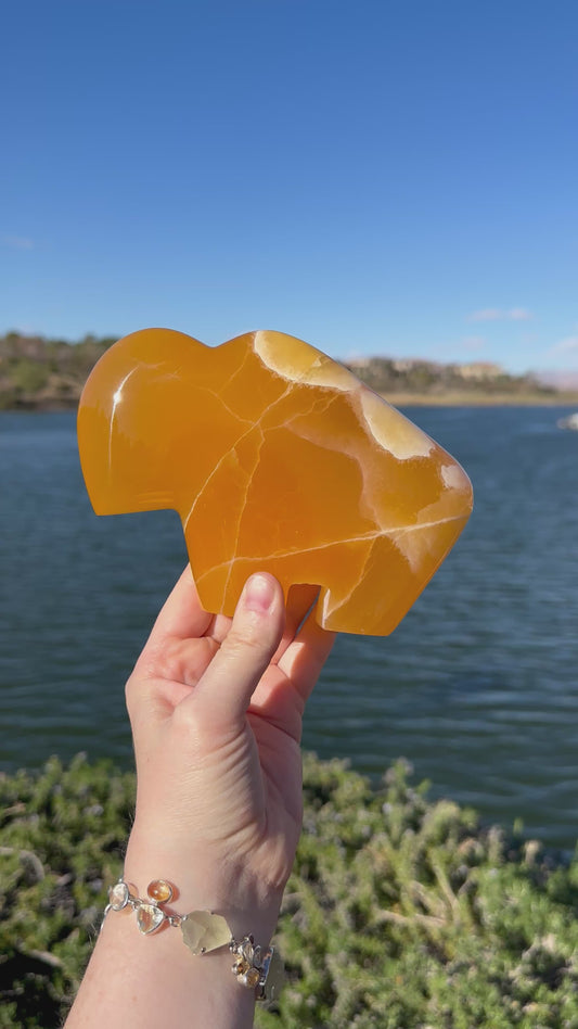 Honeycomb Calcite Zuni Buffalo