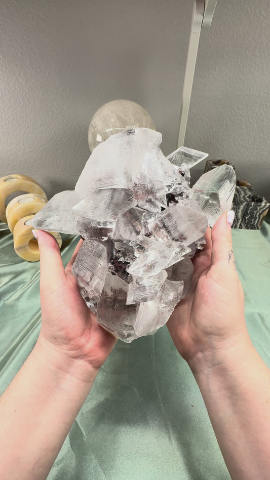 Naica Selenite Shield Formation | Cave of the Crystals, Chihuahua Mexico