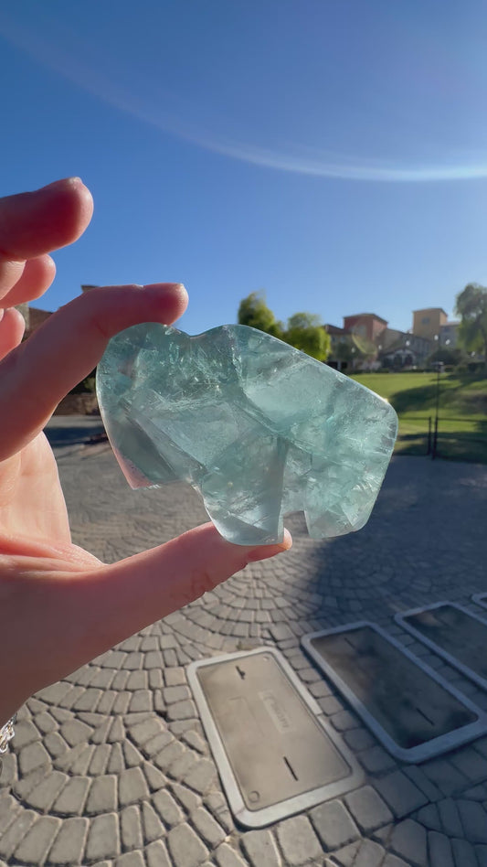 Durango Fluorite Zuni Buffalo A