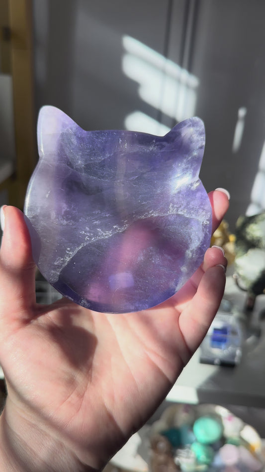 Fluorite Kitty Bowl B
