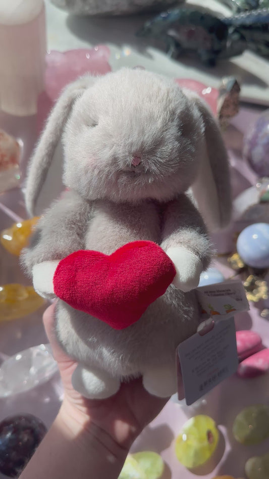 Love You Bunny