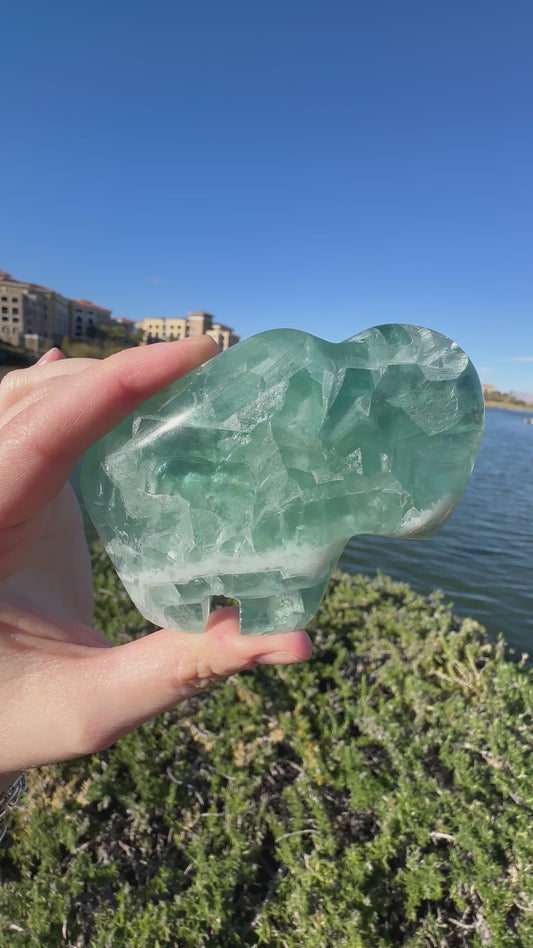 Durango Fluorite Zuni Buffalo B