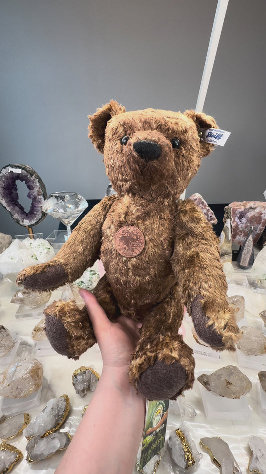 Replica of the First Ever Teddy Bear