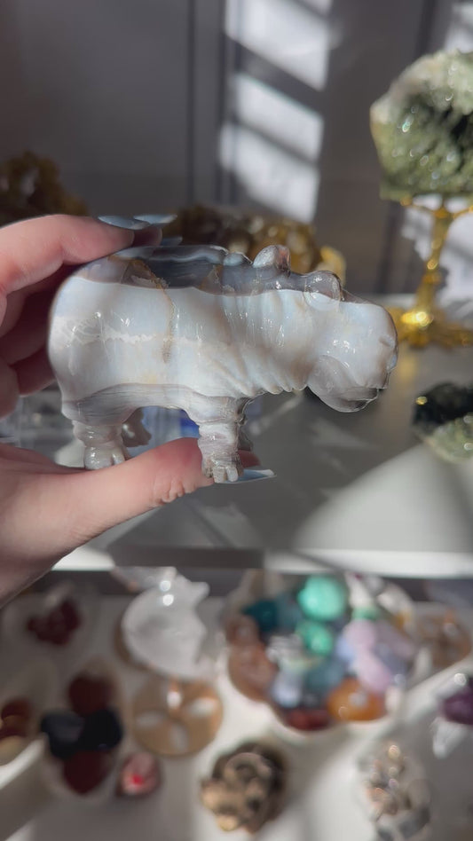 Duality Chalcedony Hippo
