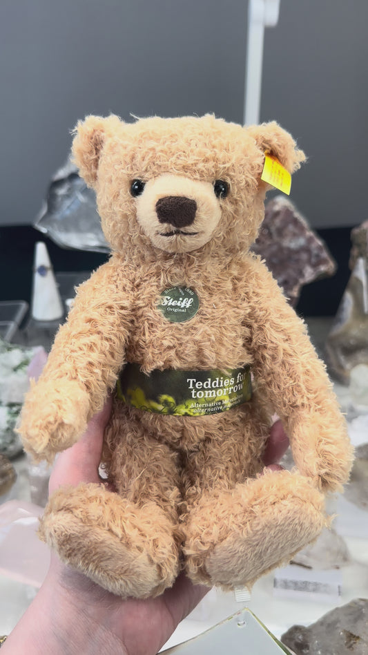 Max Teddy
