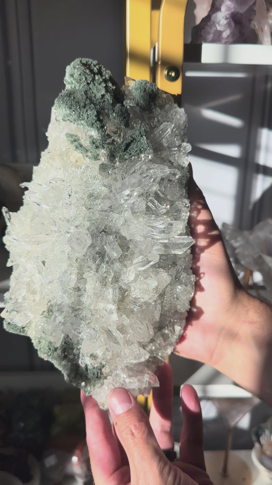 Himalayan Quartz Cluster with Chlorite