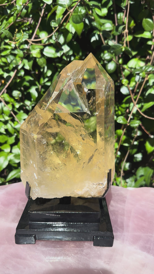 Venturini Natural Citrine on Spinning Stand