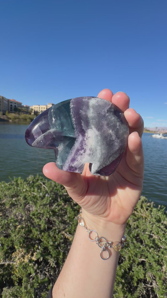 Durango Fluorite Zuni Bear A