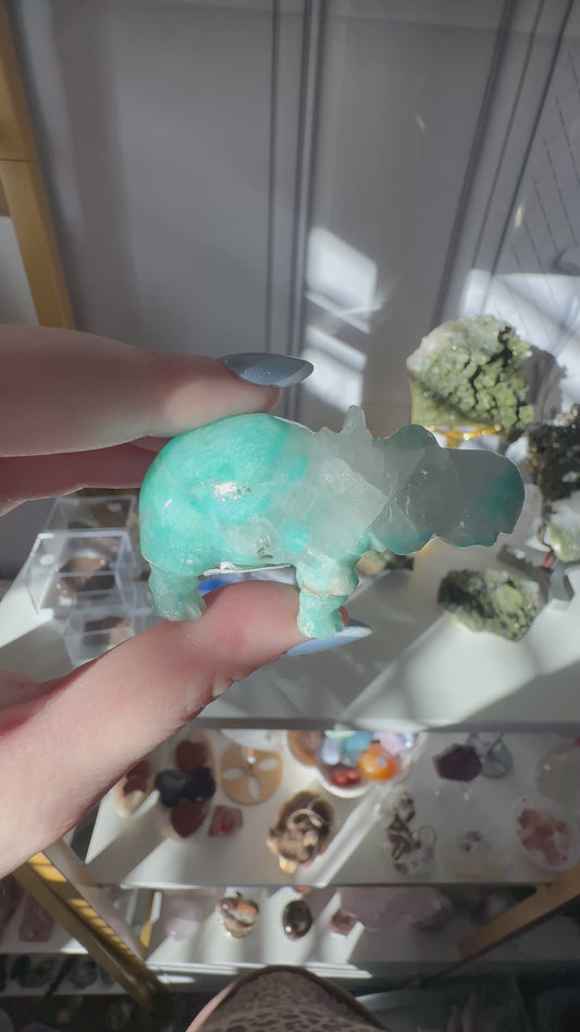 Amazonite Hippo