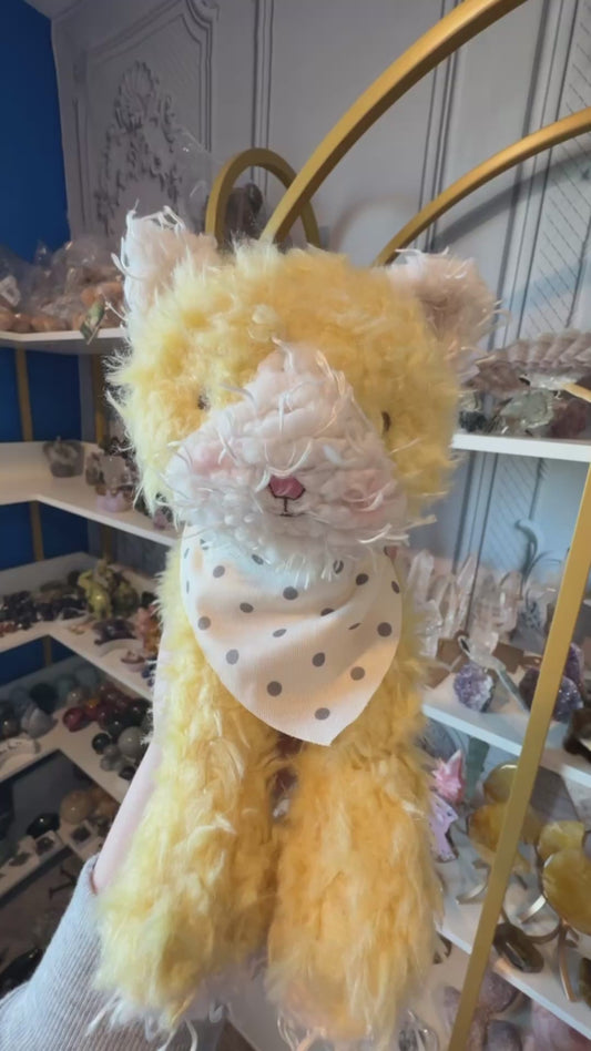 Tabby Kitty