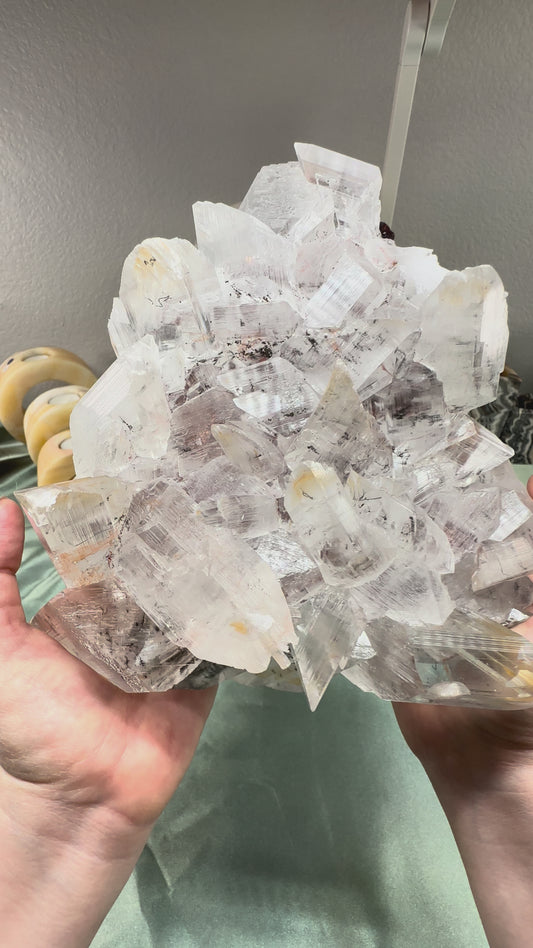 Naica Selenite with Dendrites & Iron Dusting | 7+ Pounds | Cave of the Crystals, Chihuahua Mexico