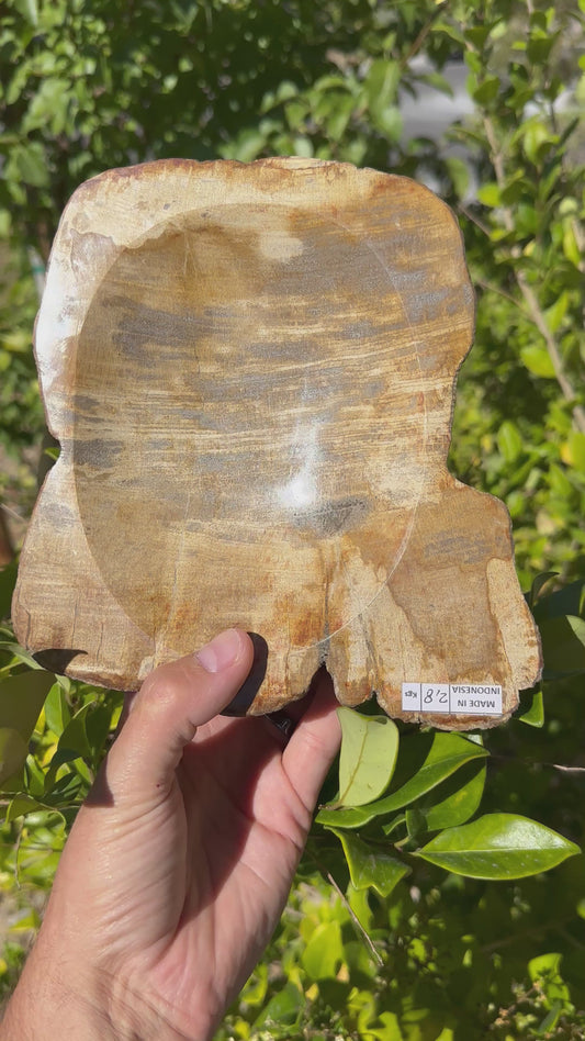 Petrified Wood Bowl