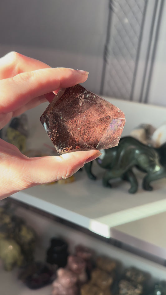 Lodolite/Garden Quartz